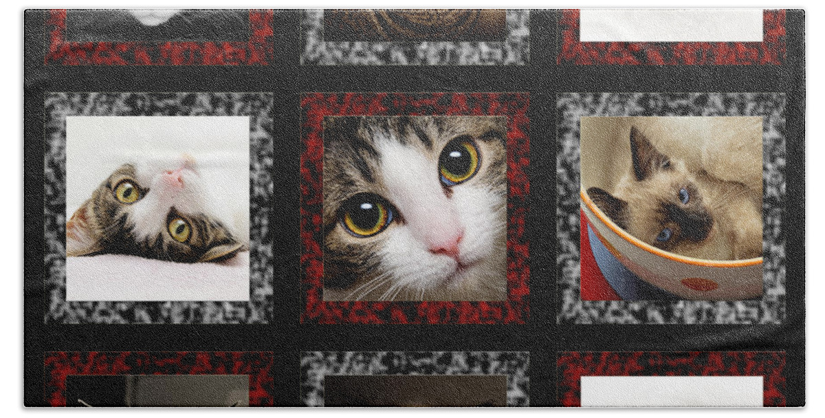 Cat Hand Towel featuring the photograph Kitty Cat Tic Tac Toe by Andee Design