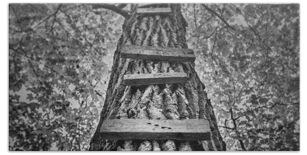 Tree Bath Sheet featuring the photograph Ladder to the Treehouse by Scott Norris