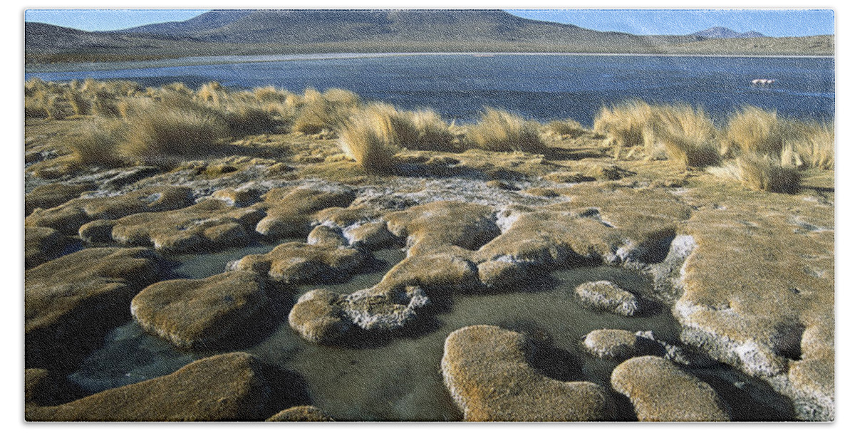 Feb0514 Bath Towel featuring the photograph Laguna Canapa Potosi District Altiplano by Tui De Roy