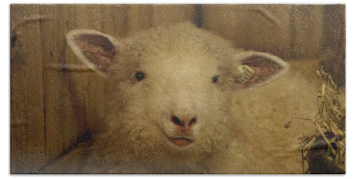 Lamp Bath Towel featuring the photograph Lamb Chop by Valerie Collins