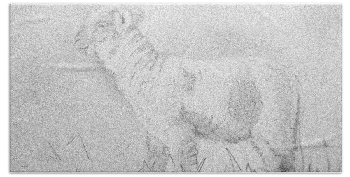  Sheep Bath Towel featuring the drawing Lamb Drawing by Mike Jory