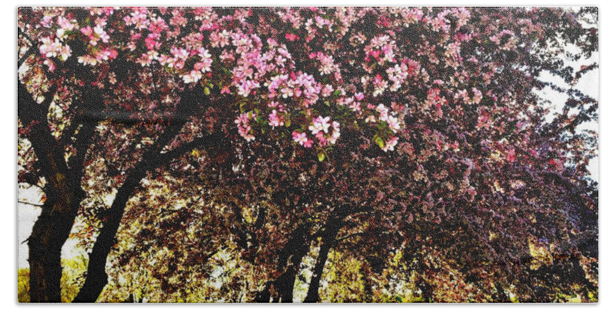 Flowering Trees Bath Towel featuring the photograph Late Afternoon at Lake Park by Susie Loechler