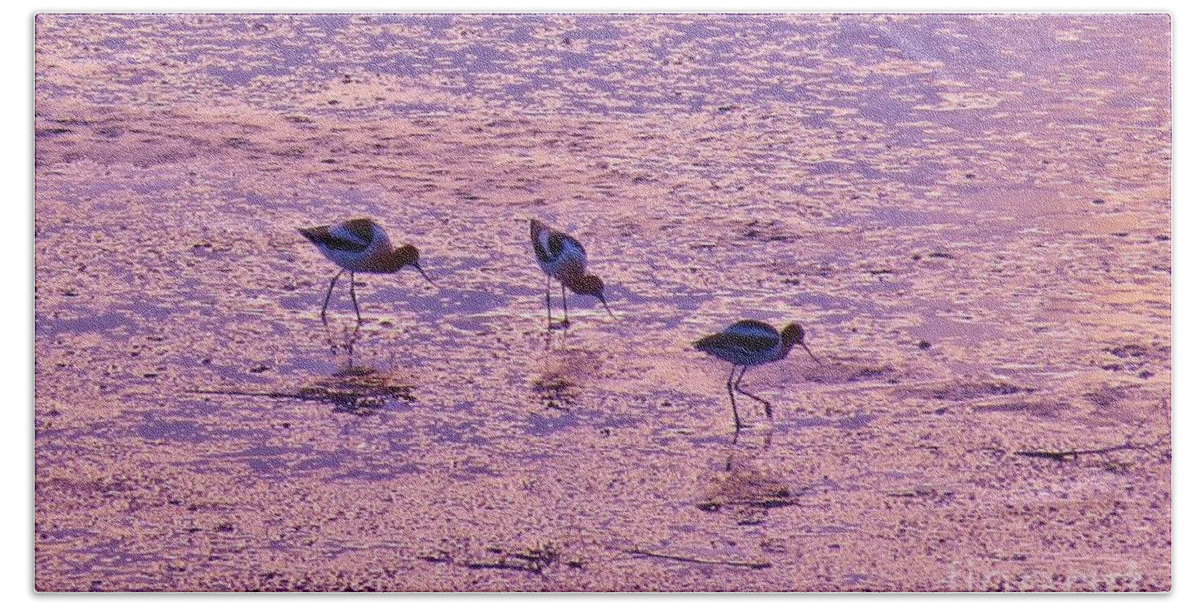 American Avocet Bath Towel featuring the photograph Avocets in Lavender Light by Michele Penner