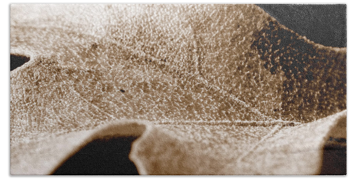 Lauren Radke Hand Towel featuring the photograph Leaf Collage 1 by Lauren Radke