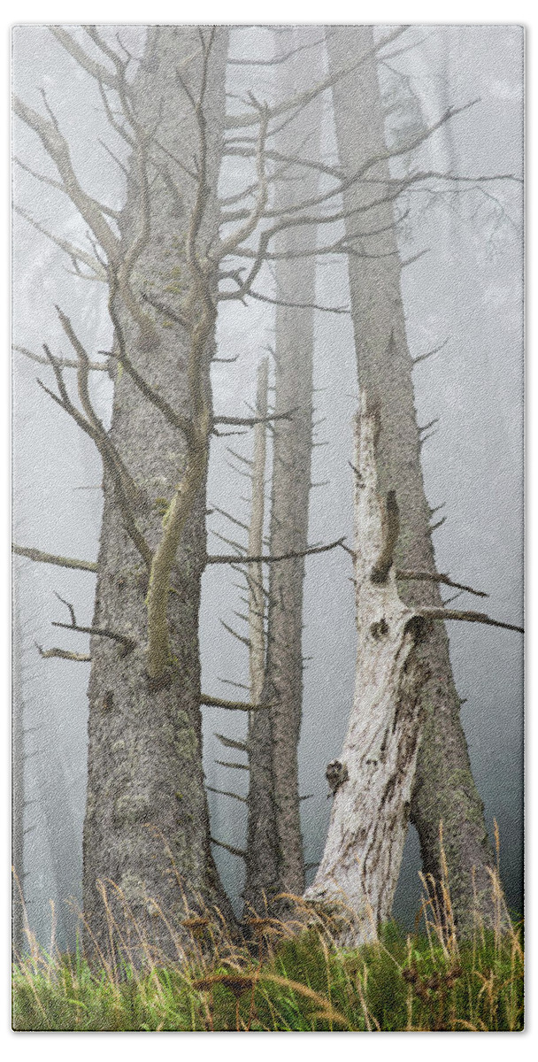 Dead Bath Towel featuring the photograph Leafless Trees In The Fog Cannon by Robert L. Potts