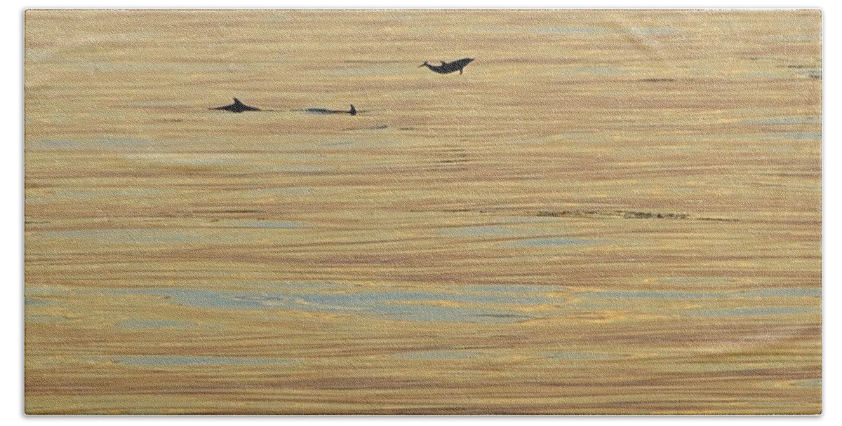 Dolphin Bath Towel featuring the photograph Leaping Dolphin and Golden Sea by Bradford Martin