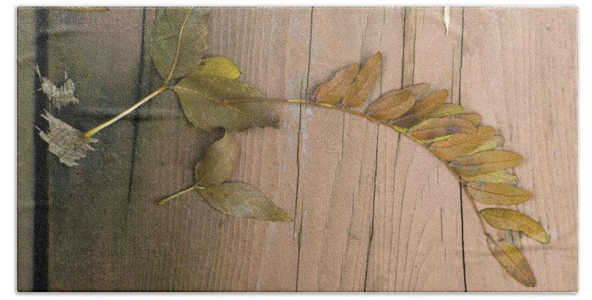 Fall Hand Towel featuring the photograph Leaves On a Wooden Step by Lynn Hansen