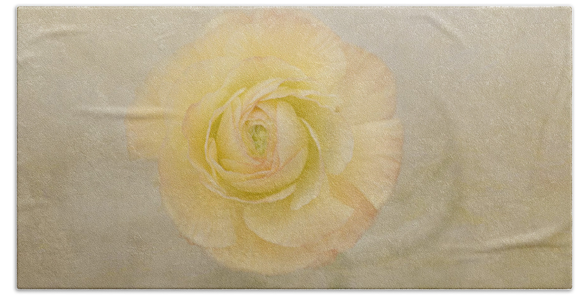 Yellow Flower Bath Towel featuring the photograph Lemon Pastels by Kim Hojnacki