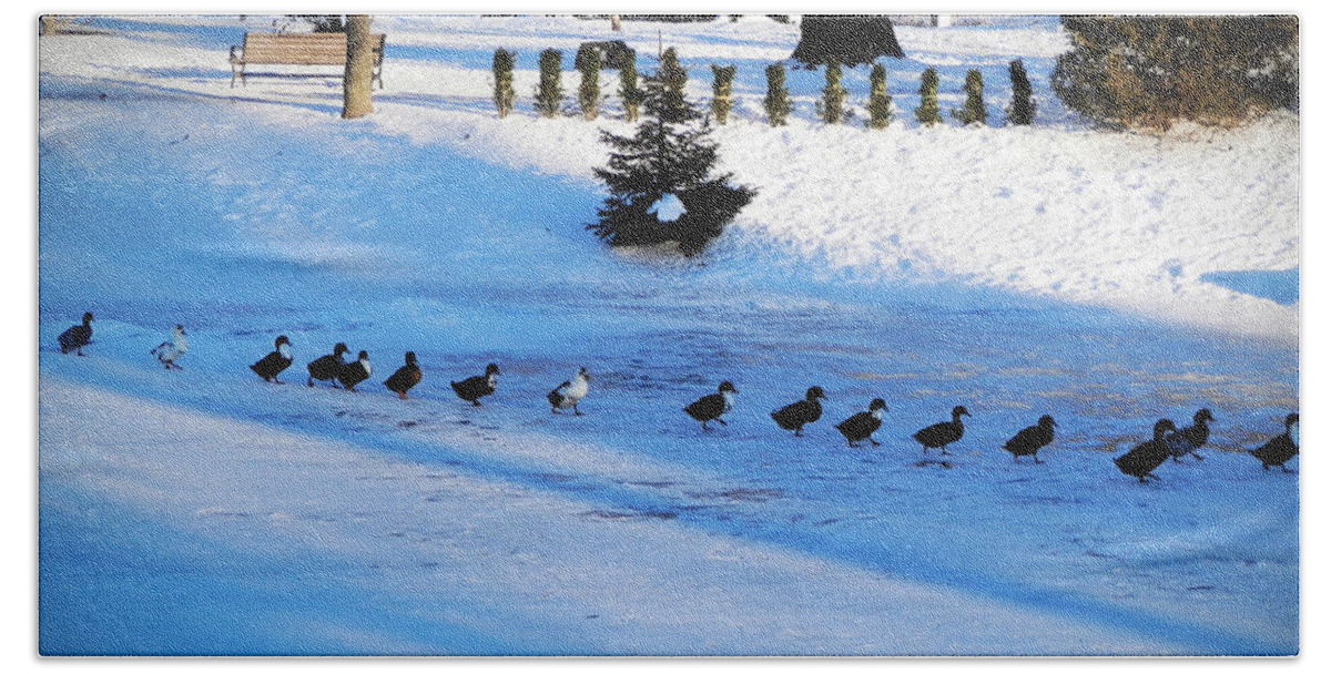 Ducks Hand Towel featuring the photograph Let's Go by Zinvolle Art