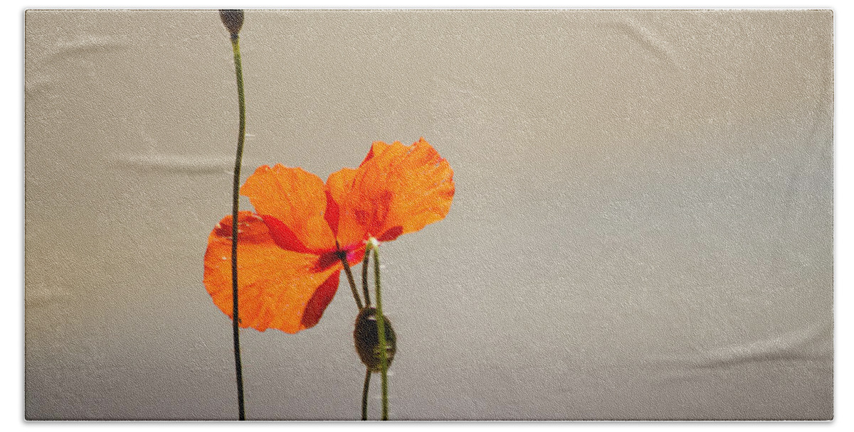 Poppy Bath Towel featuring the photograph Life by Spikey Mouse Photography