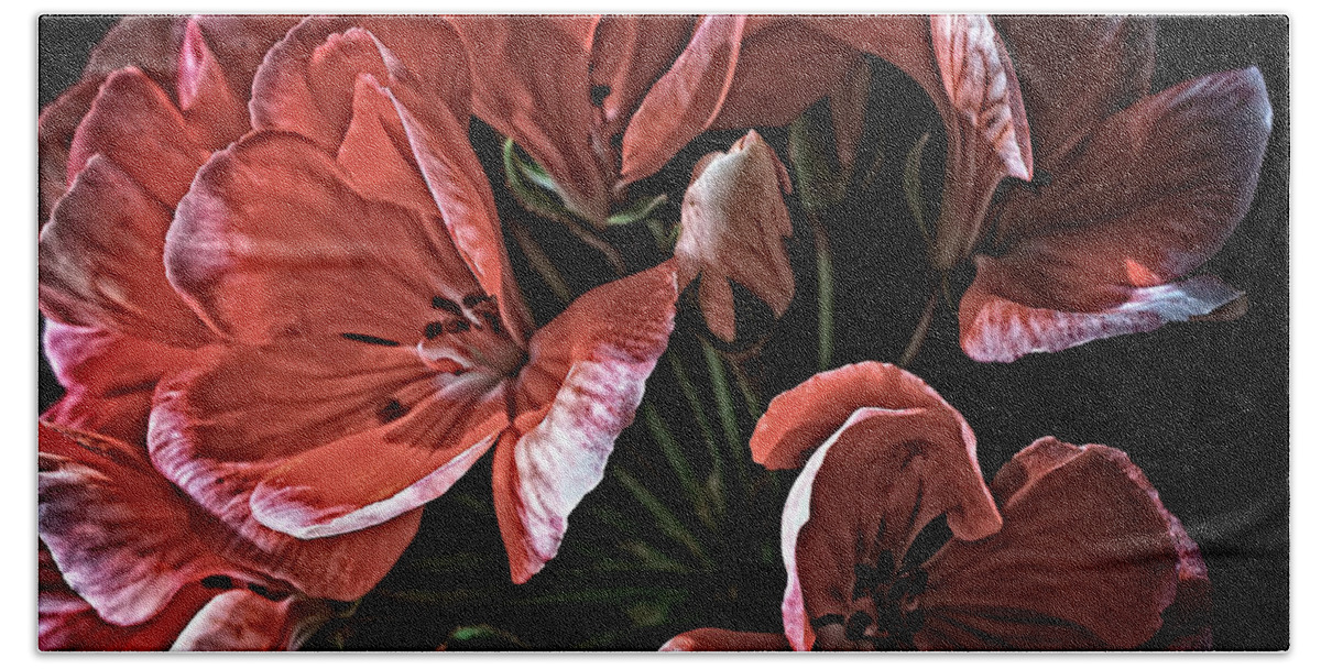 Geraniums Hand Towel featuring the mixed media Light and shadow by Charles Muhle