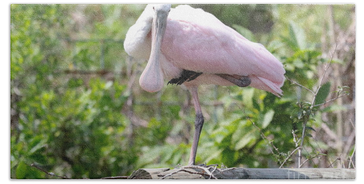 Roseate Spoonbill Bath Towel featuring the photograph Light Pink Roseate Spoonbill by Carol Groenen