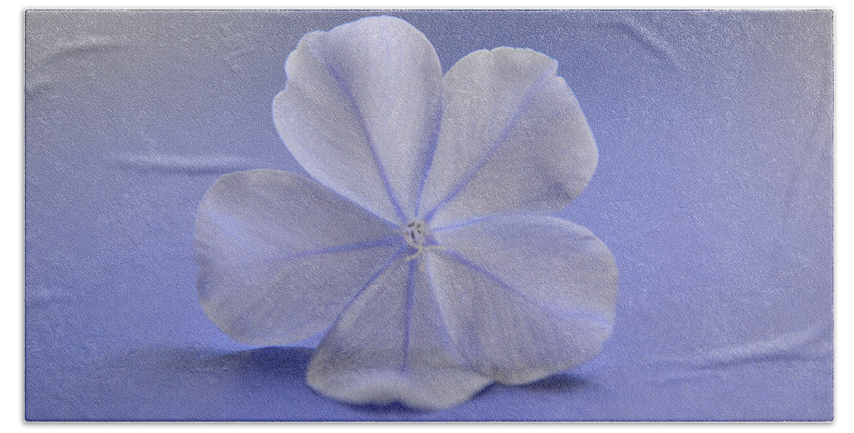 Flower Bath Towel featuring the photograph Lightness by Melanie Moraga