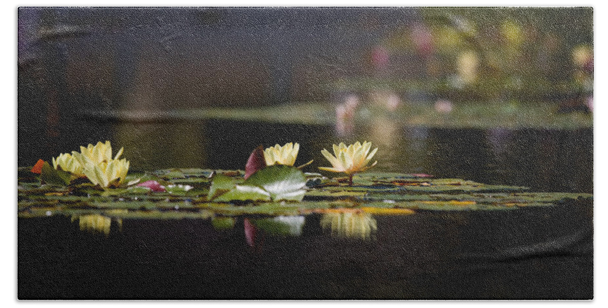 Waterlily Hand Towel featuring the photograph Lily Pond by Peter Tellone