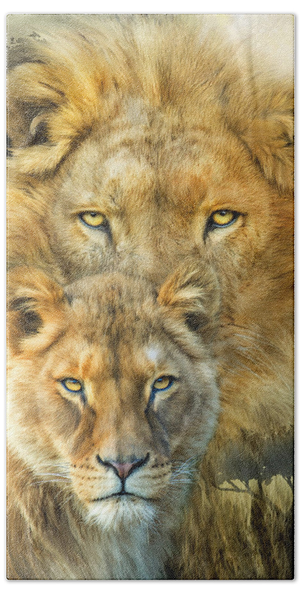 Lion Bath Towel featuring the mixed media Lion And Lioness- African Royalty by Carol Cavalaris