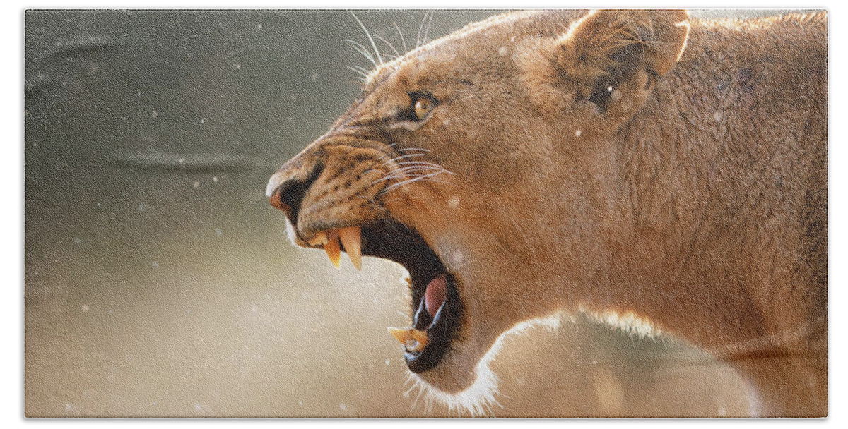 Lion Bath Sheet featuring the photograph Lioness displaying dangerous teeth in a rainstorm by Johan Swanepoel