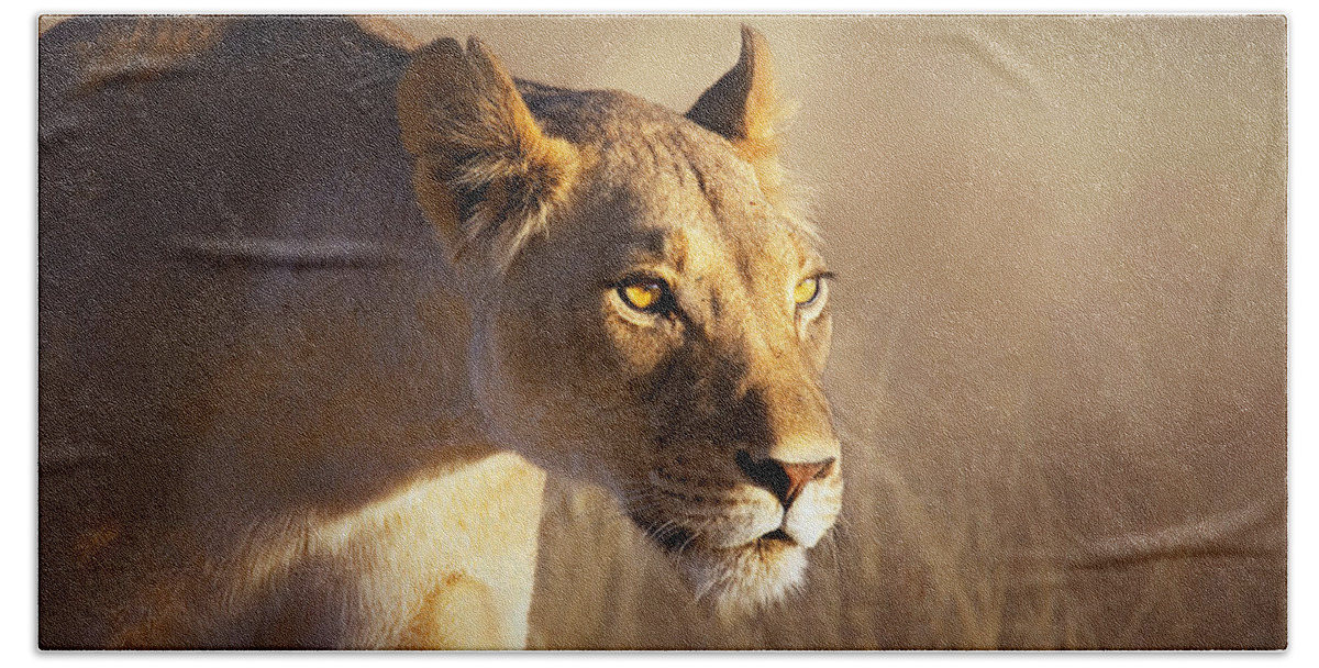 Lion Hand Towel featuring the photograph Lioness portrait-1 by Johan Swanepoel
