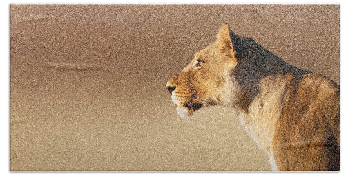 Lion Hand Towel featuring the photograph Lioness portrait by Johan Swanepoel
