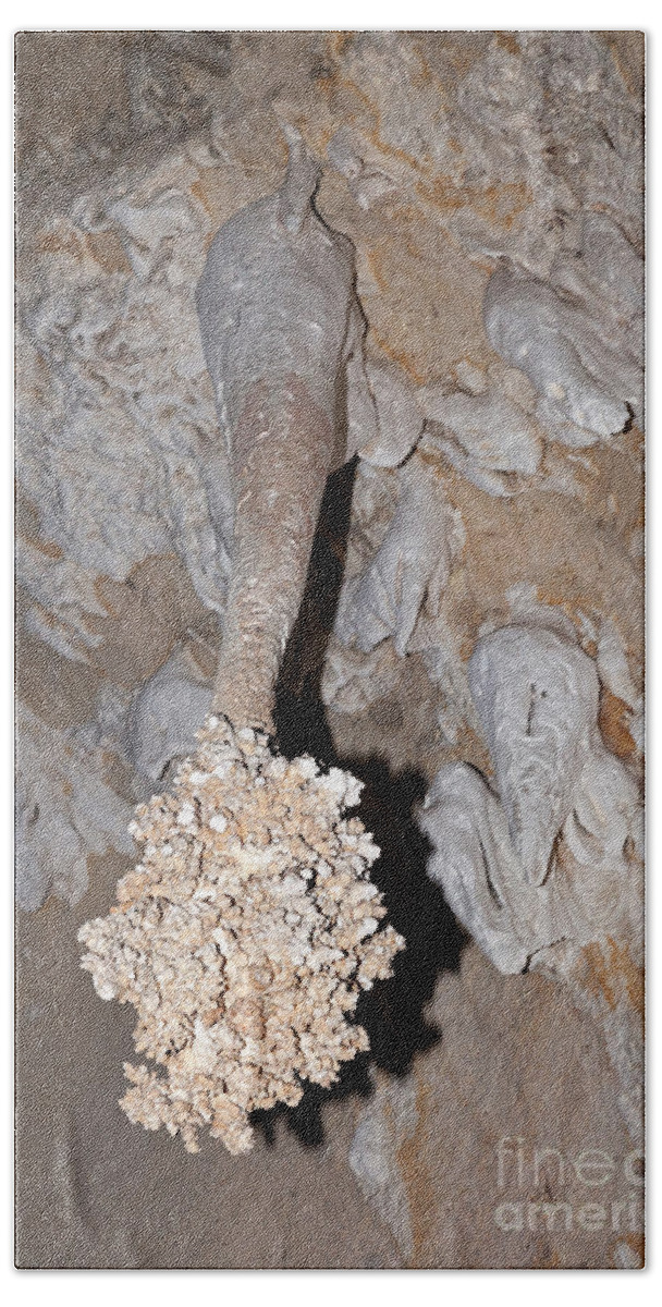 Carlsbad Hand Towel featuring the photograph Lions Tail Carlsbad Caverns National Park by Fred Stearns