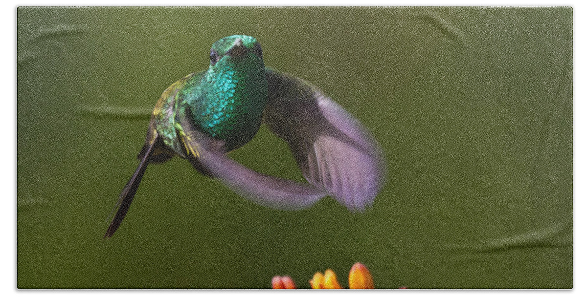 Bird Bath Towel featuring the photograph Little Hedgehopper by Heiko Koehrer-Wagner
