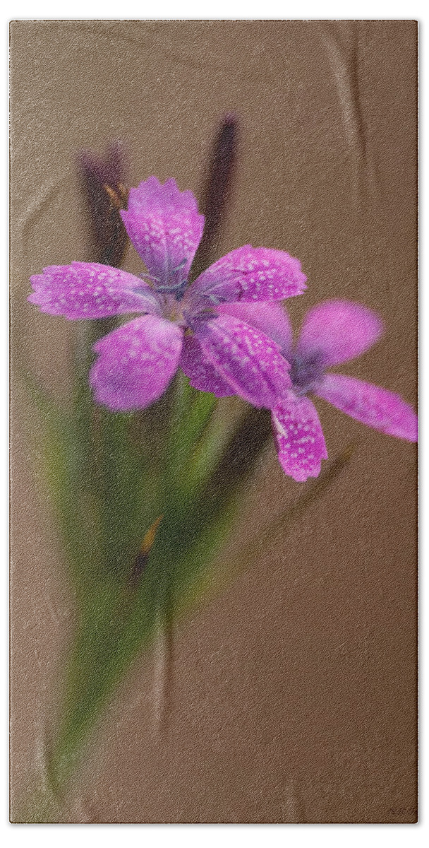 Flower Bath Towel featuring the photograph Little Purple by WB Johnston