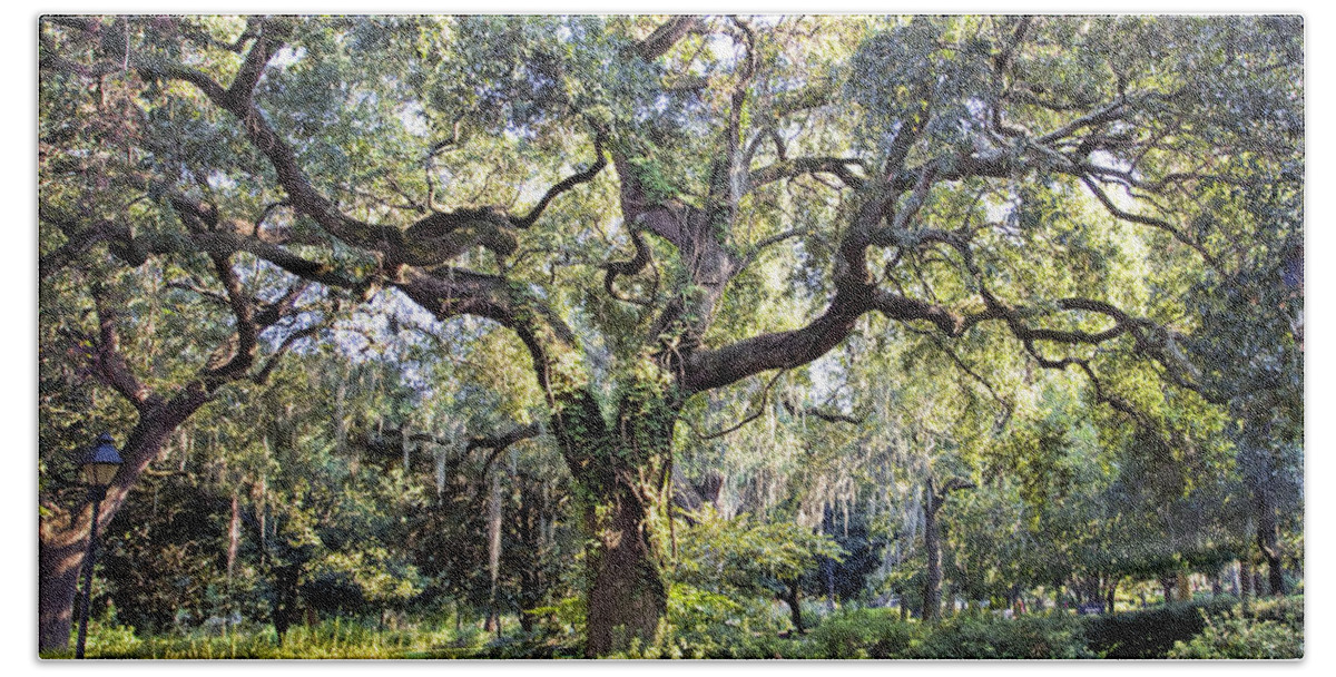Savannah Hand Towel featuring the photograph Live Oak by Diana Powell