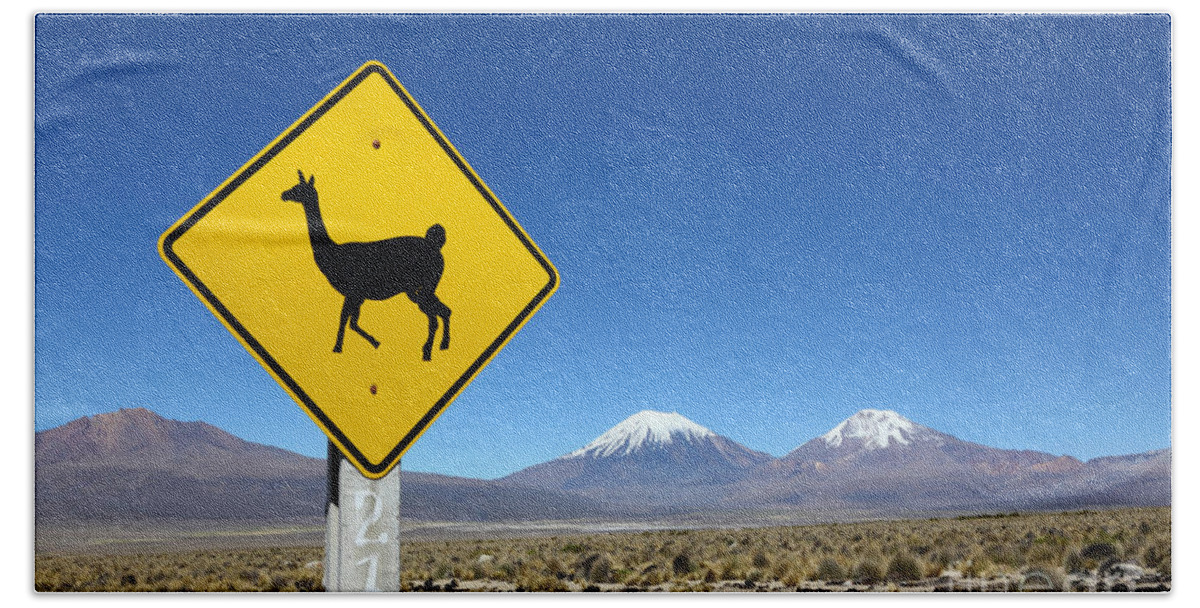 Signs Bath Towel featuring the photograph Llamas Crossing Sign by James Brunker