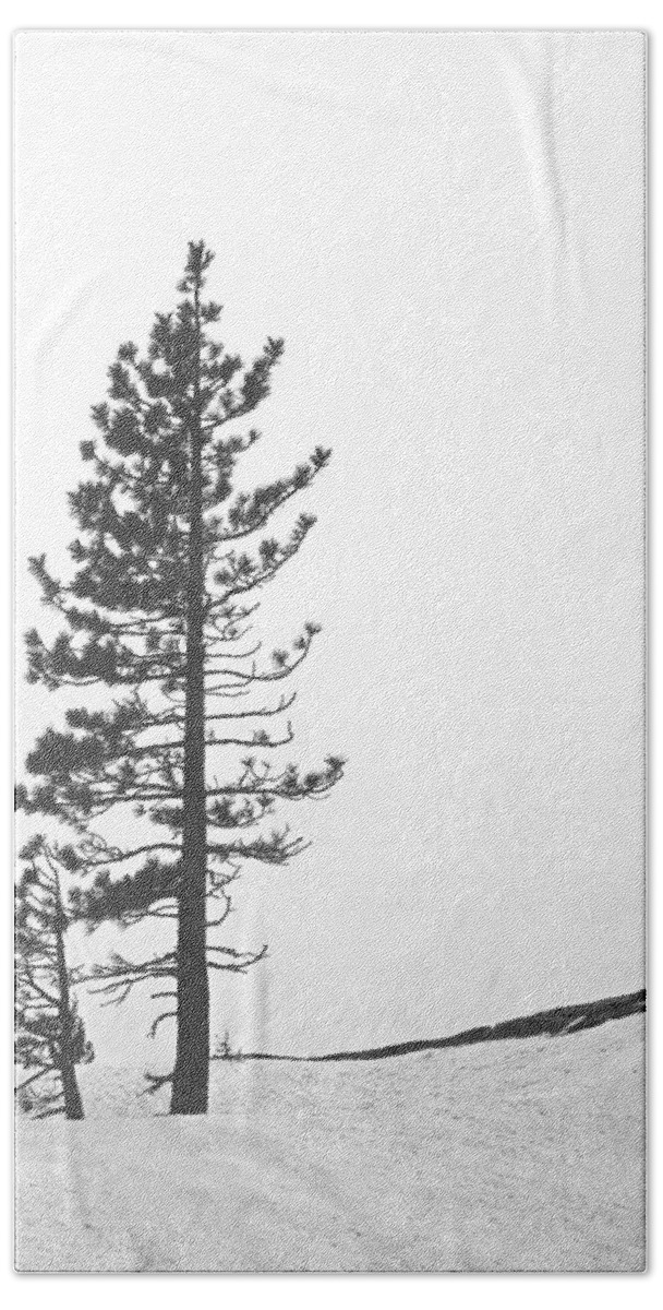  Bath Towel featuring the photograph Lone Pine in Snow by Frank Wilson
