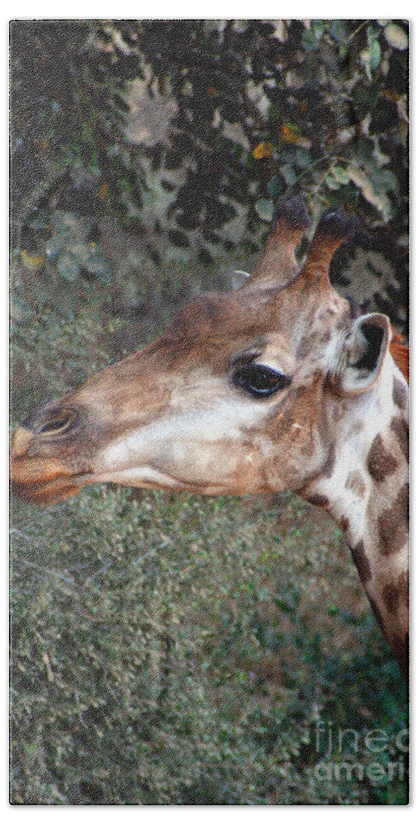 Giraffe Hand Towel featuring the photograph The Baby Giraffe by Doc Braham