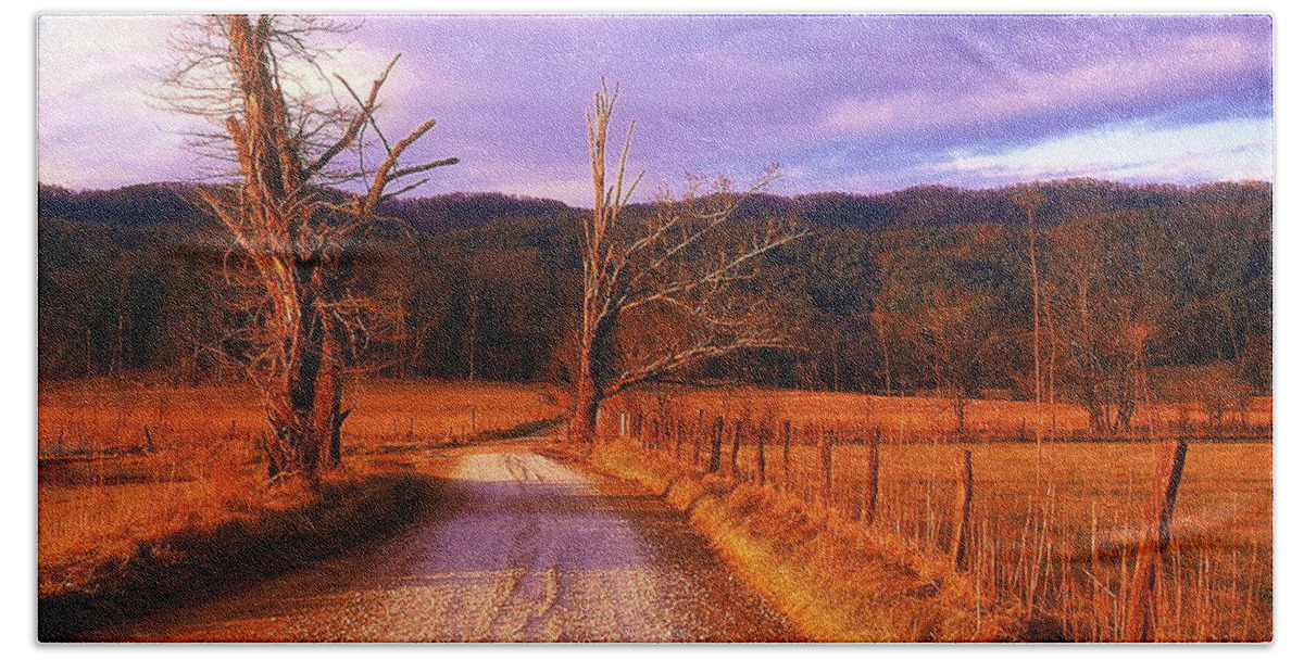 Fine Art Bath Towel featuring the photograph Lonely Road by Rodney Lee Williams