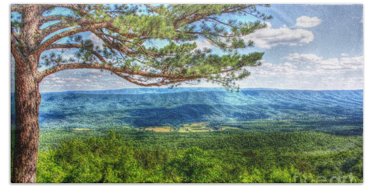 Pine Hand Towel featuring the photograph Lonesome Pine by Dan Stone