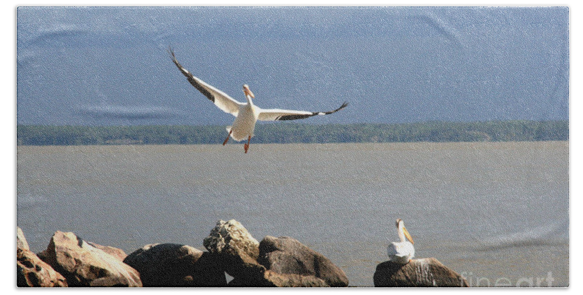 Nature Hand Towel featuring the photograph Look Ma - I can Fly by Mary Mikawoz