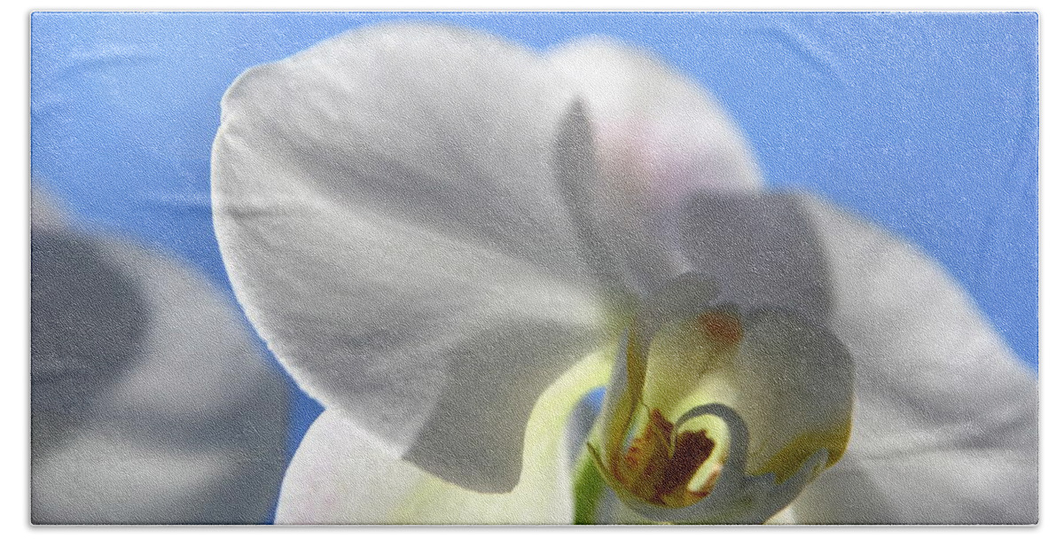 Orchid Bath Towel featuring the photograph Look to the Sky by Neal Eslinger