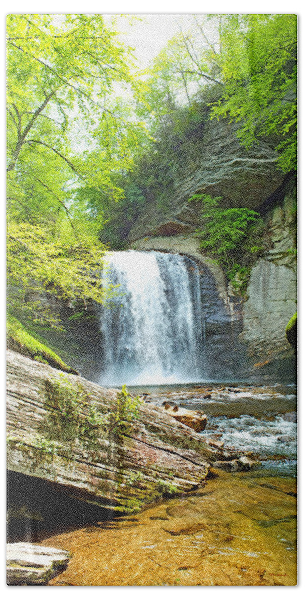 Duane Mccullough Hand Towel featuring the photograph Looking Glass Waterfall in the Spring Vertical View by Duane McCullough