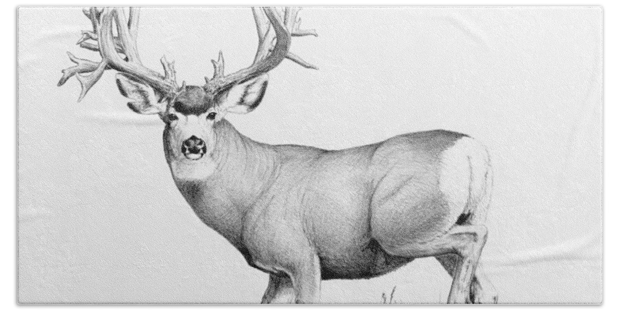 Mule Deer Buck Bath Towel featuring the painting Lopez Buck by Darcy Tate
