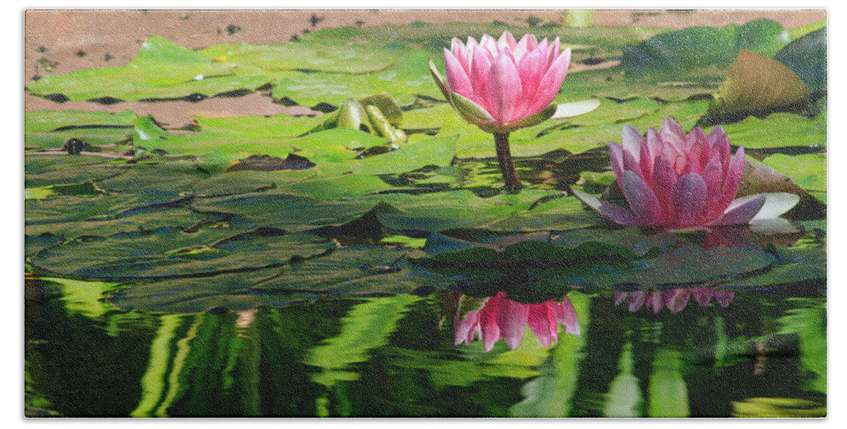 California Bath Towel featuring the photograph Lotus Flower Reflections by Beth Sargent