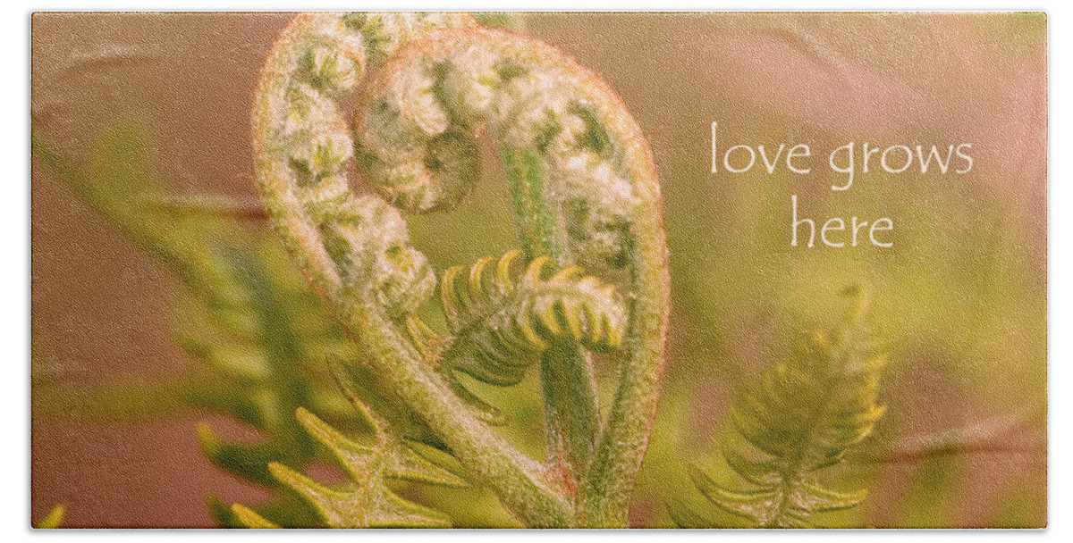 Fern Hand Towel featuring the photograph Love Grows Here by Peggy Collins