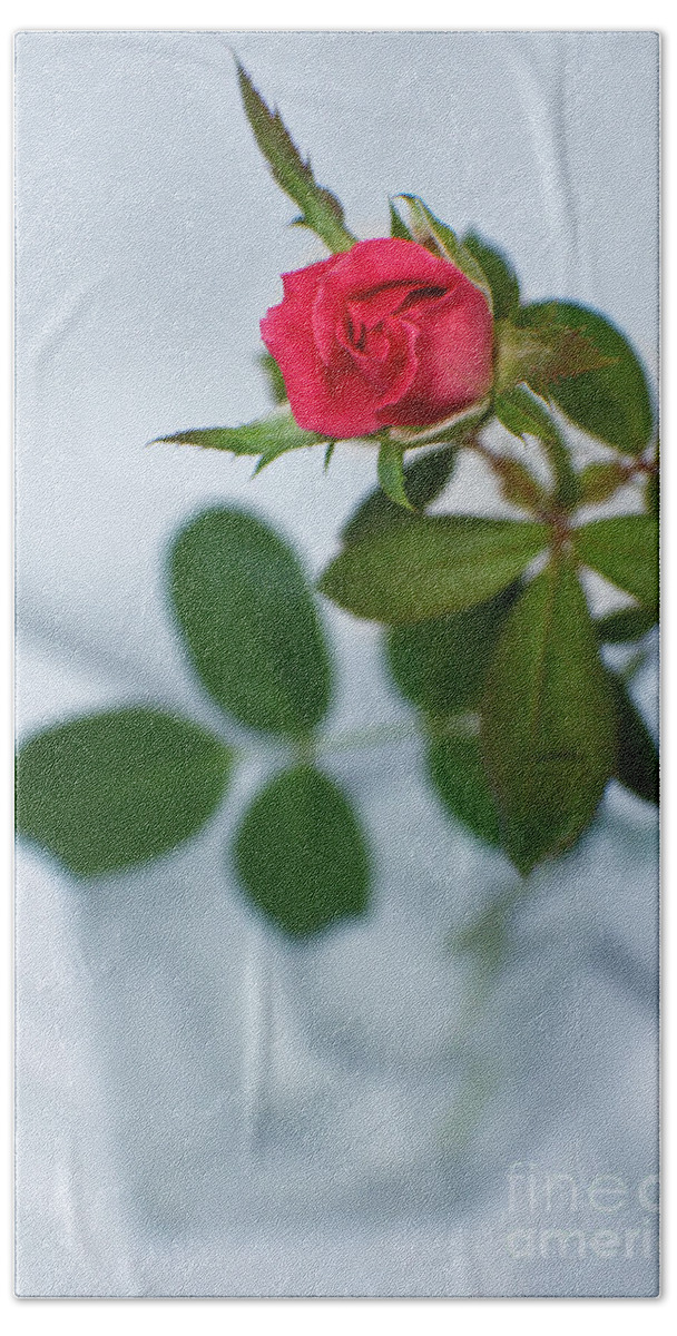 Rose Bath Towel featuring the photograph Love Whispers Softly by Ella Kaye Dickey