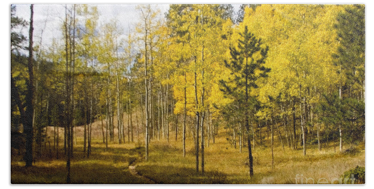 Autumn Hand Towel featuring the photograph Lovel Gulch Trail by Steven Krull