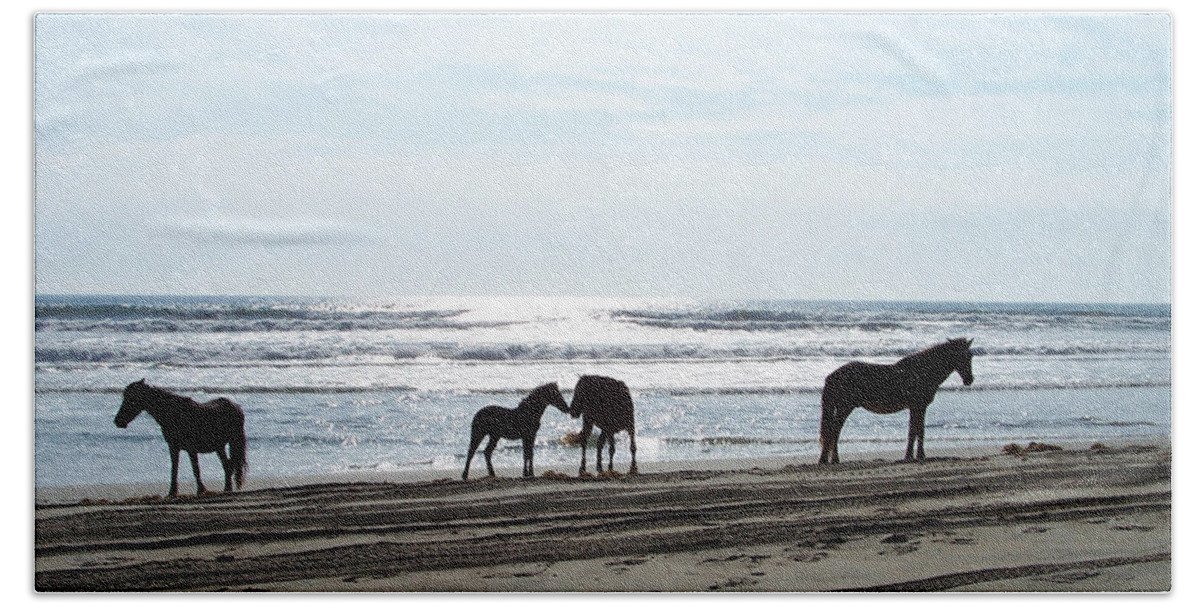 Wild Spanish Mustang Bath Towel featuring the photograph Loving Moments on the Shoreline by Kim Galluzzo
