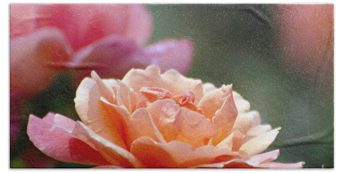 Flower Bath Sheet featuring the photograph Macro Orange and Pink Floribunda Rose by Terri Winkler