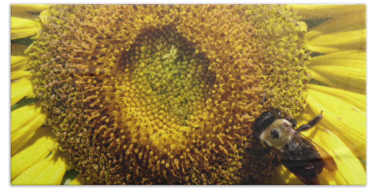 Bumble Bee Bath Towel featuring the photograph Made for Each Other by Kim Galluzzo