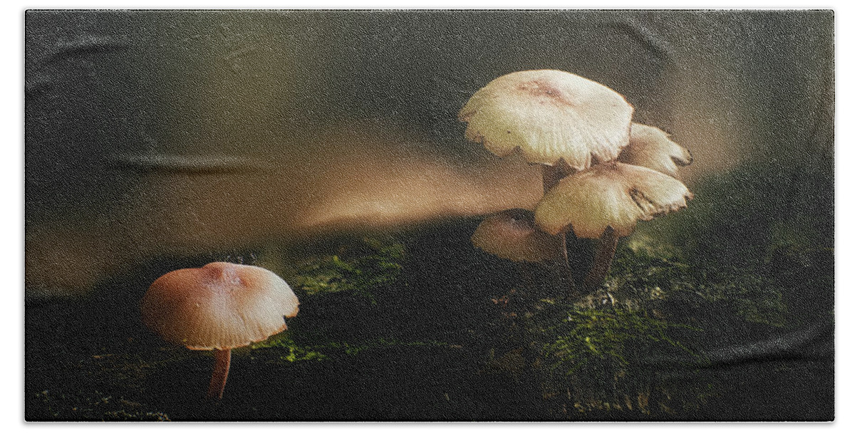 Mushroom Hand Towel featuring the photograph Magic Mushrooms by Scott Norris
