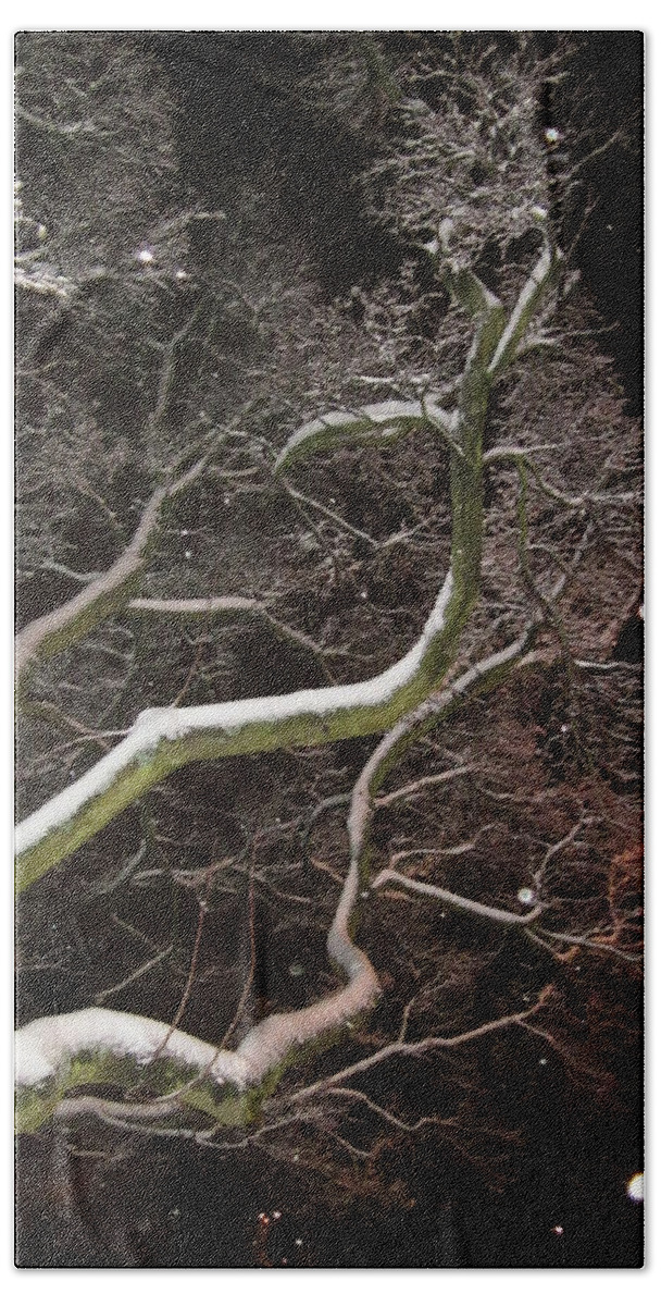 Tree Bath Towel featuring the photograph Magic tree by Rosita Larsson