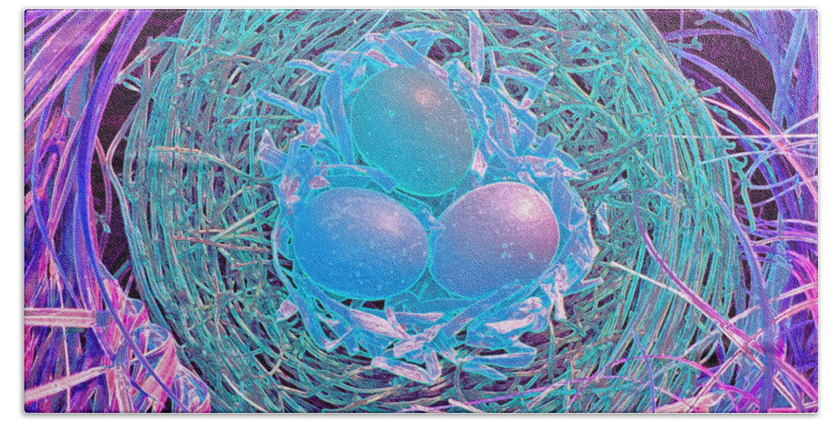 First Star Art Bath Towel featuring the photograph Magical Eggs by jrr by First Star Art