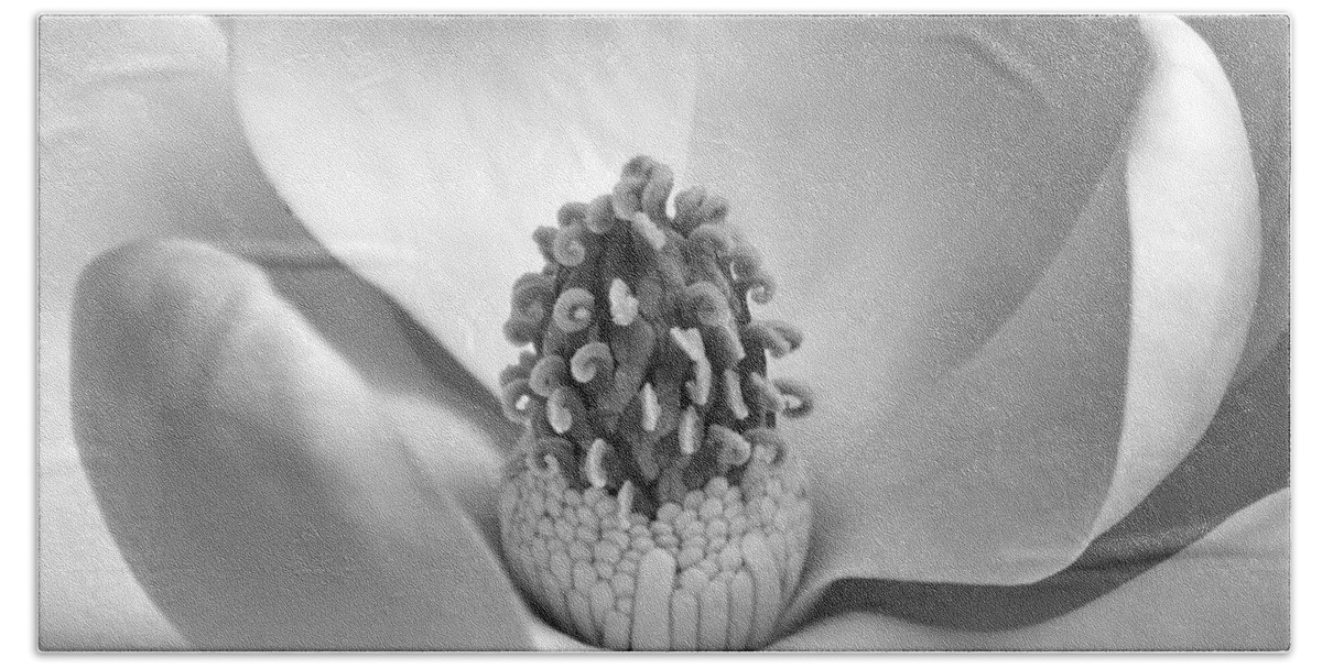 Jemmy Archer Hand Towel featuring the photograph Magnolia BW by Jemmy Archer