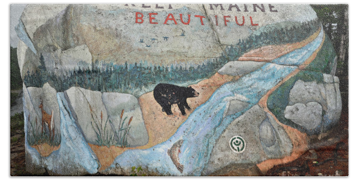 Baxter State Park Bath Towel featuring the photograph Maine Rock Painting by Glenn Gordon