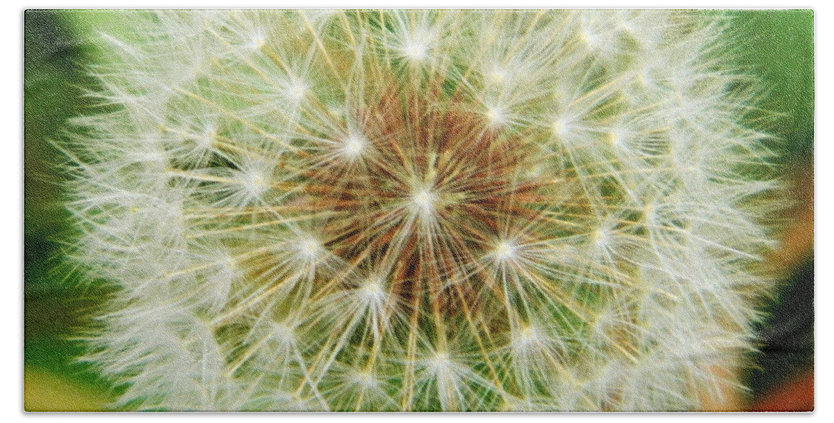 Dandelion Bath Towel featuring the photograph Make a wish by Andrea Anderegg