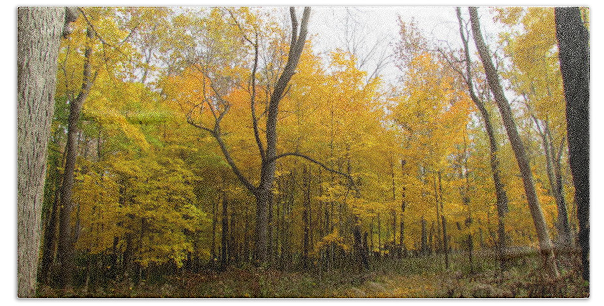 All Hand Towel featuring the photograph Malpe grove by Eric Noa
