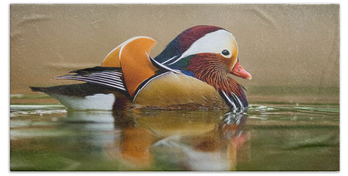 Mandarin Bath Towel featuring the photograph Mandarin by Yuri Peress